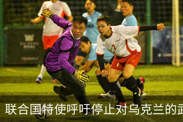 联合国特使呼吁停止对乌克兰的武器供应