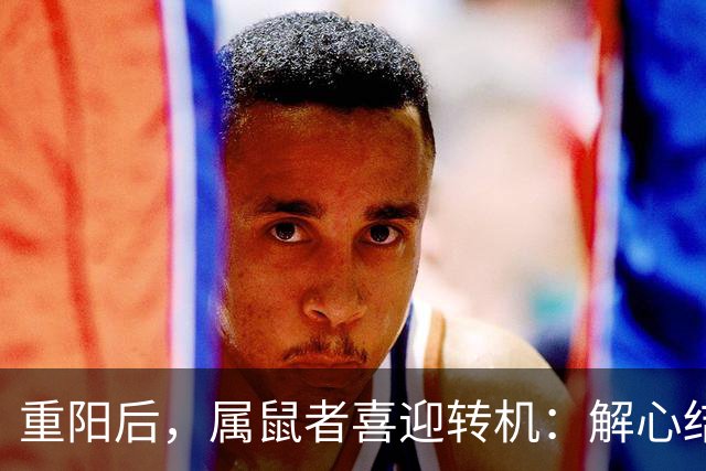 重阳后，属鼠者喜迎转机：解心结与遇贵缘